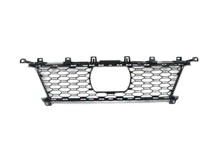 Grill -  Air Intake -  Center - Frr