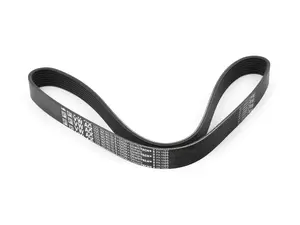 Accessory Belt