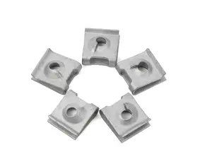 Body Nut - Pack Of 5