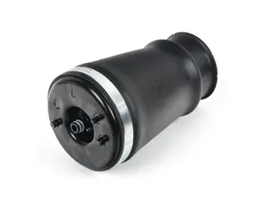 Pneumatic Air Bag Spring - Rear Left