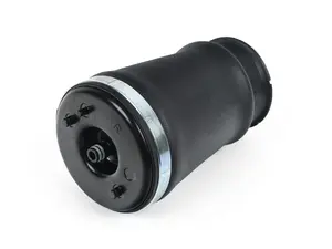 Pneumatic Air Bag Spring - Rear Right