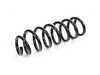 ES#4663428 - 2543217200 - HELICAL SPRING - Genuine Mercedes Benz - Mercedes Benz