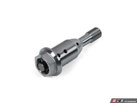 ES#5481958 - 11367620689 - VANOS Central Valve - Priced Each - Located between the VANOS actuator and adjustment unit sprocket - Hudson - MINI