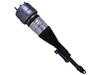 ES#4390675 - 44-289300 - Front B4 OE Replacement Air Suspension Strut - Right - Front Axle, Right Side - Bilstein - Mercedes Benz