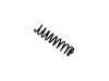 ES#4029077 - 36-224043 - Front Coil Spring - Priced Each  - Fits left or right side - replace in pairs - Bilstein - Mercedes Benz