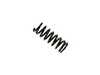 ES#4029096 - 36-227167 - Rear B3 OE Replacement Coil Spring - Priced Each - Fits left or right side - Replace in pairs only. - Bilstein - Mercedes Benz