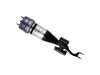 ES#4148195 - 44-281052 - Front B4 OE Replacement Air Suspension Strut - Right - Front Axle, Right Side - Bilstein - Mercedes Benz