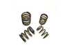 ES#3086184 - 034-201-8000 - Valve Spring Set - High Rate valve spring set - 034Motorsport - Audi