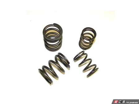 ES#3086184 - 034-201-8000 - Valve Spring Set - High Rate valve spring set - 034Motorsport - Audi
