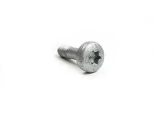 Torx screw - priced each