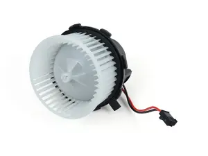 Blower Motor