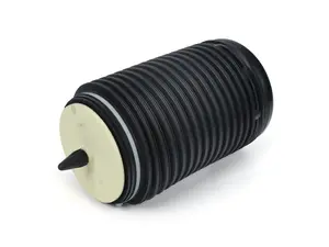 Rear Air Spring Damper - Right