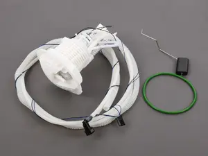 Fuel Sending Unit And Filter Assembly