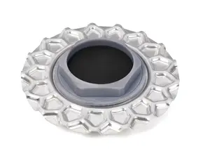 BBS Center Cap 171mm Unpainted