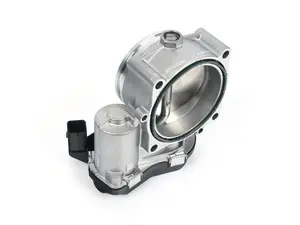 Throttle Body Assembly