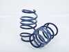 ES#5505132 - 54787SD - Sport Spring Set *Scratch And Dent* - Scratch & Dent - Volkswagen