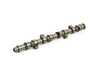 ES#4846415 - EVCVSW07 - Hydraulic Tappets Performance Camshaft - Duration intake: 276 degrees, Duration exhaust: 276 degrees - SPA Performance - Volkswagen