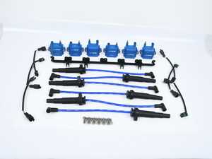 ES#5506820 - 601-0021-1SD - High Performance Ignition Kit - N55 Stock Intake Manifold - Blue Coils *Scratch And Dent* - Scratch & Dent - BMW