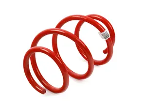 Front Coil Spring - Priced 