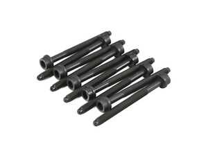 ES#4768293 - WHT005305B-10 - Cylinder Head Bolt Set - A full set to secure your cylinder head - Victor Reinz - Audi Volkswagen