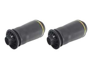 ES#5480518 - 1663200325KT1 - Mercedes Rear Air Spring Kit - OE replacement air springs made by Arnott. - Arnott - Mercedes Benz