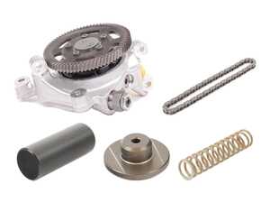 ES#5481470 - 11367841784KT - VANOS High Pressure Pump With Oil Pump Chain And Guides - Time, heat cycles and mileage stretch the drive chain and fatigue the tensioner assembly, threatening your oil pressure and your engine's life. - Genuine BMW - BMW