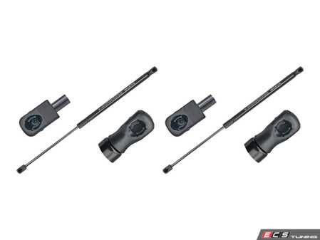 ES#5482800 - 2049802864KT2 - Hatch Strut - Pair - Fits Left and Right - For Cars With Auto Hatch - Meyle - Mercedes Benz
