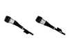ES#5493073 - 44-239985KT - Rear B4 OE Replacement Air Suspension Struts - Pair - Fits left and right side - Always replace in pairs - Bilstein - Mercedes Benz
