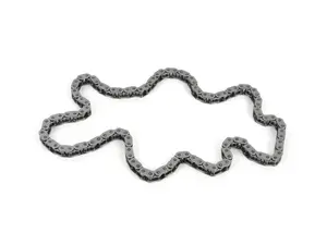 Lower Engine Timing Chain