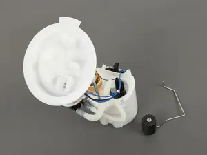 Low Pressure Fuel Filter/Pump Assembly