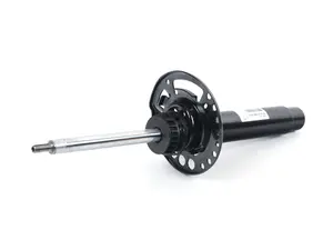 Front Spring Strut - Left