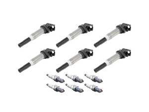 ES#5527210 - GN10571ISKT - S54 OEM Ignition Service Kit - Includes OEM Delphi ignition coils and NGK spark plugs - Assembled By ECS - BMW