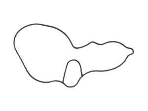 ES#2979602 - 1772010780 - Thermostat / Water Pump Gasket - Located Between the engine block and the thermostat housing - Genuine Mercedes Benz - Mercedes Benz