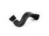 ES#38397 - 17127531581 - Radiator Hose - Lower - Replace split hoses. - Genuine BMW - BMW