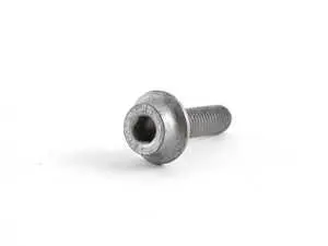 Fillister Head Screw