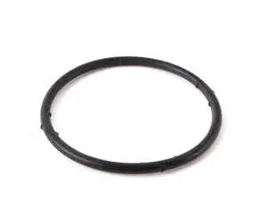 Sealing O-ring