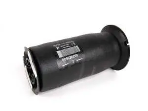 Air spring - priced each
