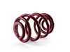 ES#1303342 - 29593 - Race Spring Set - Aggressive looks and ultimate handling. - H&R - BMW