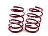 ES#1303342 - 29593 - Race Spring Set - Aggressive looks and ultimate handling. - H&R - BMW