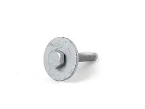 Screw With Washer