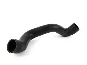 Radiator Hose - Upper