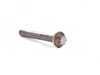 ES#18535 - 11127529997 - TORX SCREW - Genuine BMW - BMW