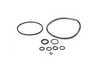 ES#17580 - 11111402381 - GSKT. EURO - Genuine BMW - 