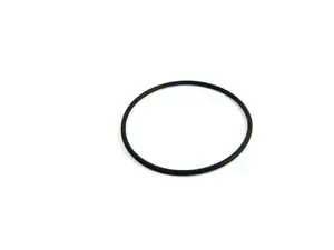 Thermostat O-Ring