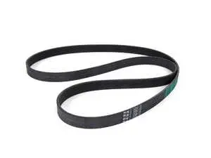 Accessory Belt