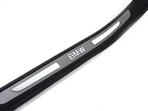 Door Sill Plate - Left Rear