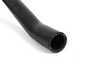 ES#1483212 - 99610625074 - Coolant Hose - Hose from the Water Pump to the engine. - Genuine Porsche - Porsche