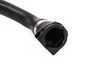 ES#38315 - 17127509966 - Coolant Hose - Connects to the bottom of the expansion tank - Genuine BMW - BMW
