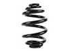ES#58840 - 33532283137 - E46 M3 Rear Coil Spring - Replace your cracked springs - Genuine BMW - BMW