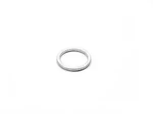 Gasket Ring